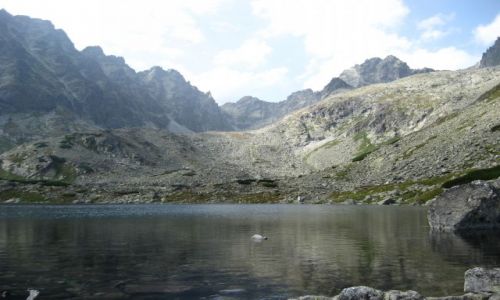 Zdjecie SOWACJA / brak / Batyowiecki Staw / TATRY WYSOKIE [48]