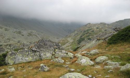 Zdjecie SOWACJA / brak / Starolena Dolina / TATRY WYSOKIE [54]