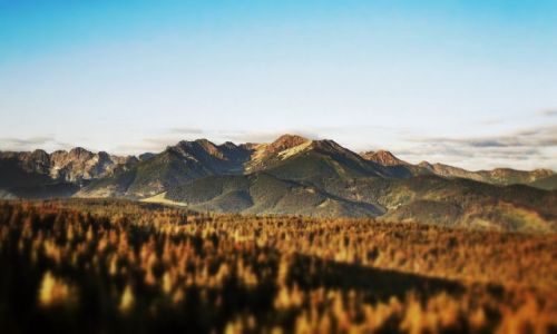 Zdjęcie SłOWACJA / - / Panorama na Tatry  / Moje Tatry