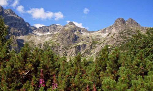 Zdjecie SOWACJA / - / Dolina Kiemarska / Moje Tatry