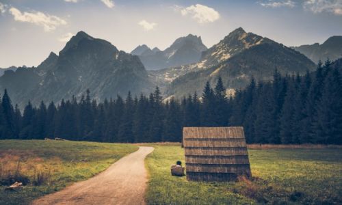 Zdjecie SOWACJA / Tatry / Bielovodska Dolina / Bielovodska Dolina