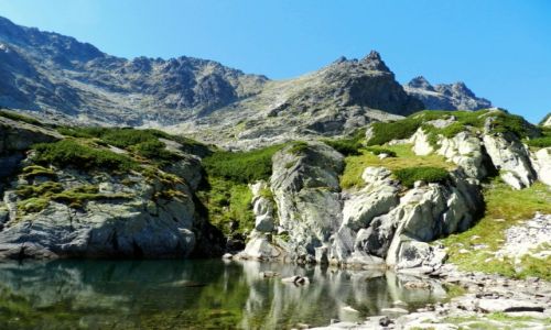 Zdjęcie SłOWACJA / - / W drodze na Przełęcz Rohatka / Moje Tatry