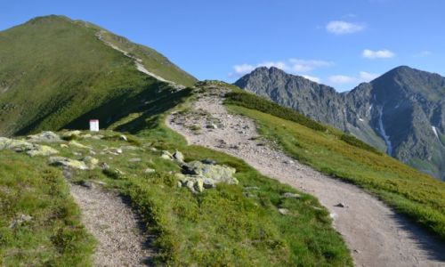 Zdjcie SOWACJA / - / Tatry Zachodnie - Rohacze / Woowiec i Rohacze II