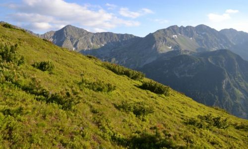 Zdjecie SOWACJA / - / Tatry Zachodnie - Rohacze / Paczliwy i Trzy Kopy