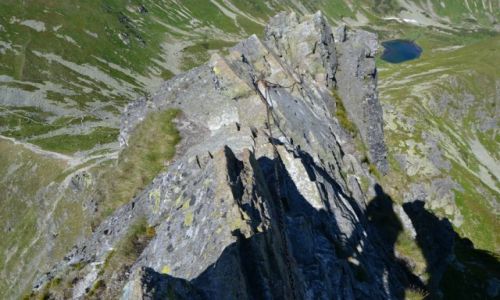 Zdjęcie SłOWACJA / - / Tatry Zachodnie - Rohacze / Rohacki koń