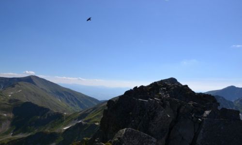 Zdjęcie SłOWACJA / - / Tatry Zachodnie - Rohacze / Z Barańcem w tle