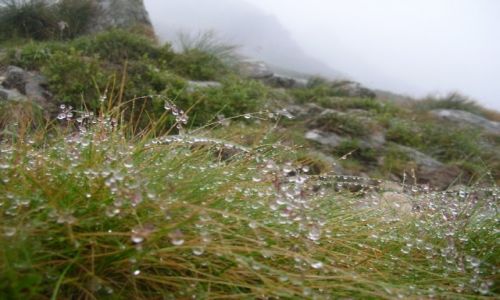 Zdjęcie SłOWACJA / - / Tatry Zachodnie - Rohacze / Kiedy zimno i kiedy pada
