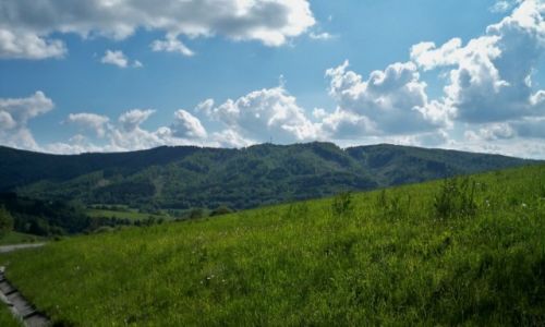 Zdjęcie SłOWACJA / - / Palota / Słowackie górki