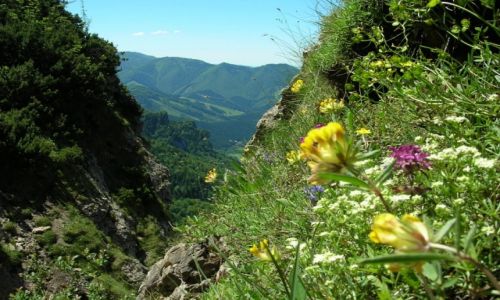 Zdjecie SOWACJA / - / Maa Fatra - szlak do Podrozsutcw / Widok na Boboty