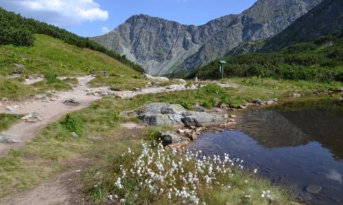 Zdjecie SOWACJA / - / Tatry Zachodnie - Rohacze / Poredni May