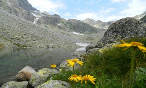 Zdjecie SOWACJA / tatry wysokie / dugi staw  / w drodze na ma wysok