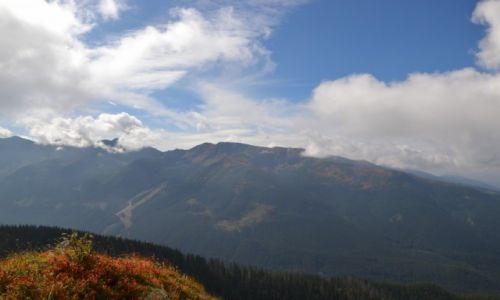 Zdjęcie SłOWACJA / - / Tatry Zachodnie - Rohacze / Widok na Brestową, Salatiny i Spaleną