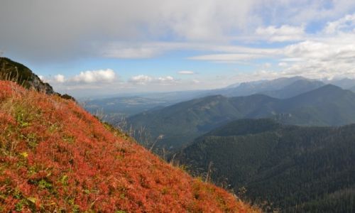 Zdjęcie SłOWACJA / - / Tatry Zachodnie - Rohacze / Widok z Osobitej
