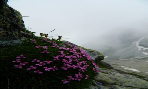 Zdjecie SOWACJA / tatry wysokie / gdzie na szlaku / w drodze na Ma Wysok 2014