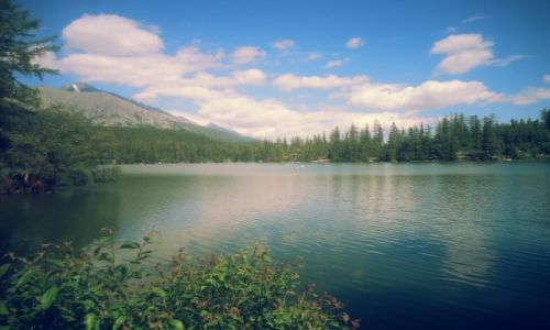 Zdjęcie SłOWACJA / Zilinsky Kraj / Tatry Wysokie / Strbske pleso