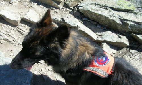 Zdjecie SOWACJA / Tatry Wysokie / Przecz Daxtera pod Krywaniem / W pracy