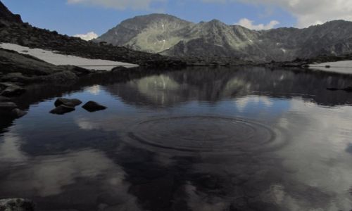 Zdjecie SOWACJA / tatry wysokie / zbjnickie stawy / kropelka:)