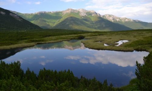 Zdjecie SOWACJA / Tatry Wysokie / Dolina Biaych Staww / Trjktny Staw