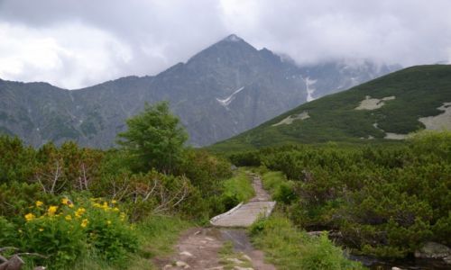Zdjecie SOWACJA / Tatry Wysokie / Dolina Biaych Staww / Na szlaku do Zeleneho Plesa