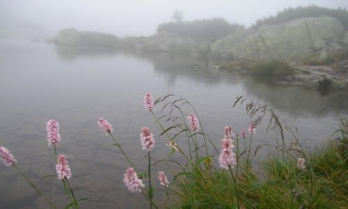Zdjcie SOWACJA / Tatry Zachodnie - Rohace / Rohackie plesa - Wynie Rohackie / Deszcz nad Wynim
