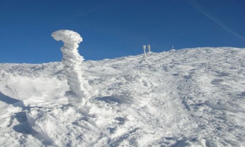 Zdjecie SOWACJA / Maa Fatra / Pod Wielkim Krywaniem Fatrzaskim / Maa Fatra zim II