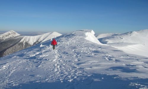 Zdjęcie SłOWACJA / Mała Fatra / Na Piekielniku / Mała Fatra zimą V