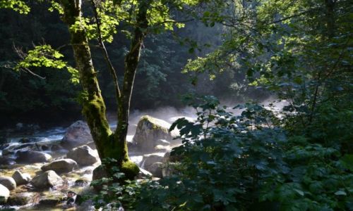Zdjęcie SłOWACJA / Tatry Wysokie - zachodnie zbocza Tatr Bielskich / Javorova Dolina / Jaworowy Potok I