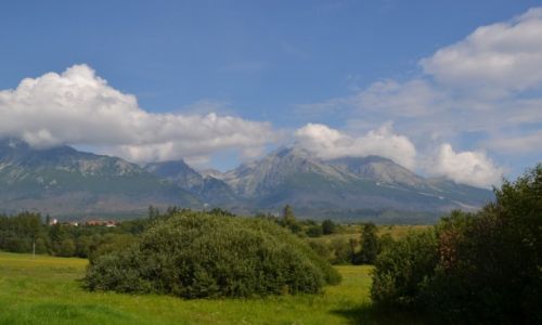 Zdjcie SOWACJA / Tatry Wysokie / Nova Lesna / Widok na Tatry z Novej Lesnej