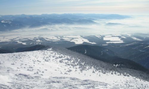 Zdjęcie SłOWACJA / Mała Fatra / Kryvan Velki / Widok z Kryvania fatrzańskiego na Nizke Tatry