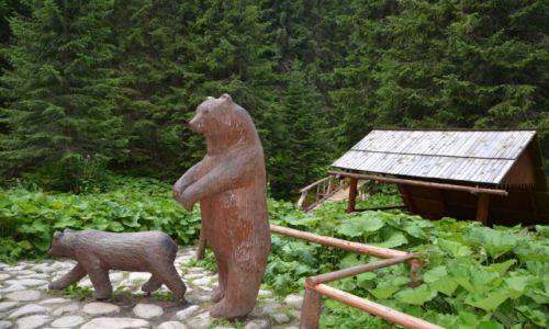 Zdj�cie S�OWACJA / Tatry Wysokie / Predne Medodoly / Misie w Medodo�ach