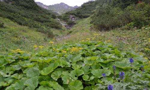 Zdjcie SOWACJA / Tatry Wysokie - Tatry Bielskie / Pod Zdiarsk Vidl / Szeroki leb 