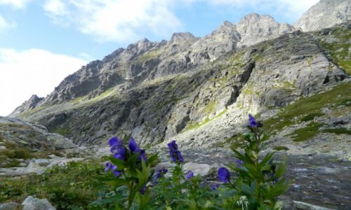Zdjecie SOWACJA / tatry wysokie / gdzie na szlaku / w drodze na Bystr awk 2340 npm