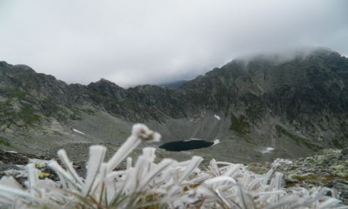 Zdjecie SOWACJA / tatry wysokie / widok na kolisty  staw / w drodze na Bystr awk 2340 npm