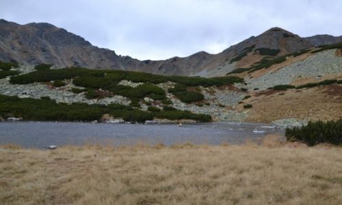 Zdjęcie SłOWACJA / Tatry Zachodnie / Bystra Dolina / Bystre Stawy