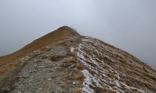 Zdjcie SOWACJA / Tatry Zachodnie / Bystra / Bystra