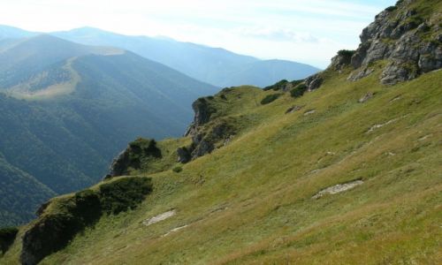 Zdj�cie S�OWACJA / Ma�a Fatra / Szlak na Velky Rozsutec / Zbocza Rozsutca