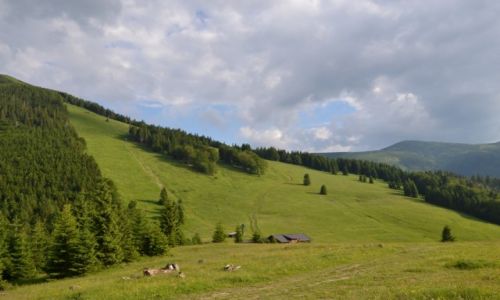 Zdjecie SOWACJA / Maa Fatra / Przecz pod Poudniowym Groniem / Chata na Gruni