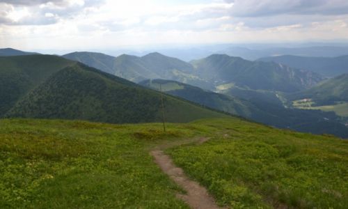 Zdjęcie SłOWACJA / Mała Fatra / Chrbat Stohu / Widok na Sokolie spod Stoha