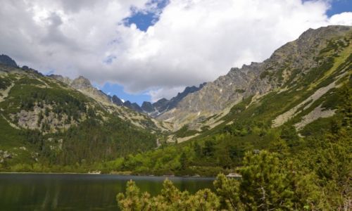 Zdjecie SOWACJA / Tatry Wysokie / Dolna cz Doliny Zomisk / Popradzki Staw