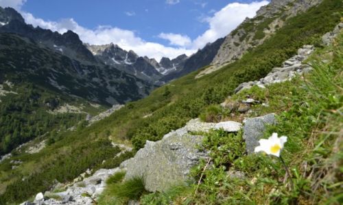 Zdjecie SOWACJA / Tatry Wysokie / zbocza Osterwy / Otoczenie Doliny Zomisk