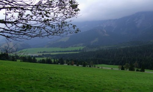 Zdjecie SOWACJA / Tatrzaski Park Narodowy / Droga nr 67, pomidzy diar a Tatranska Javorina / Sowackie Tatry