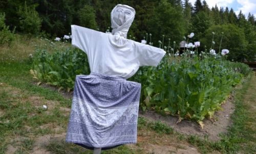 Zdjecie SOWACJA / yliski kraj / Brestova / Pani strachowa