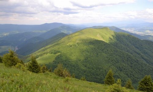 Zdjcie SOWACJA / Maa Fatra / Stoh / Osnica 1362