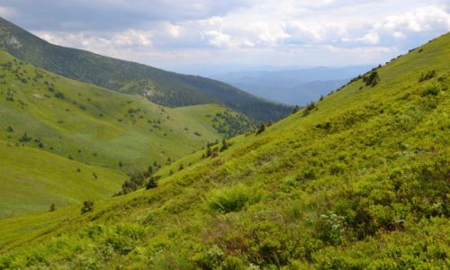 Zdjęcie SłOWACJA / Mała Fatra / Koniarky / Zlatna Javorina