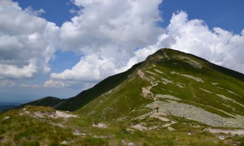 Zdjęcie SłOWACJA / Tatry Zachodnie / Jamnicke Sedlo / Wołowiec