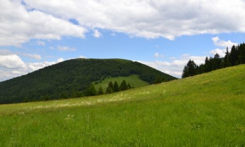Zdjcie SOWACJA / Maa Fatra / Sedlo Meziholie / Meziholie