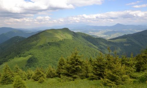 Zdjecie SOWACJA / Maa Fatra / Sedlo Meziholie / Osnica