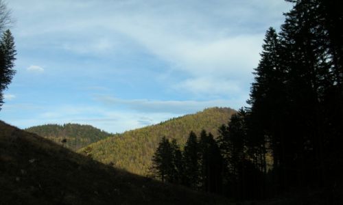 Zdjęcie SłOWACJA / Mała Fatra / Opuky / Stara Dolina