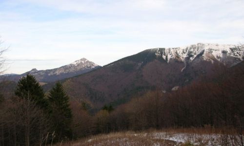 Zdjcie SOWACJA / Maa Fatra / Sedlo za Kraviarskym / Rozsutce i Poudniowy Gro I