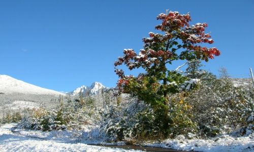Zdjęcie SłOWACJA / Tatry Wysokie / Droga do Starego Smokowca / Widok na Łomnicę